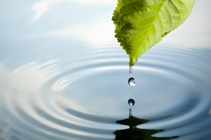 environment